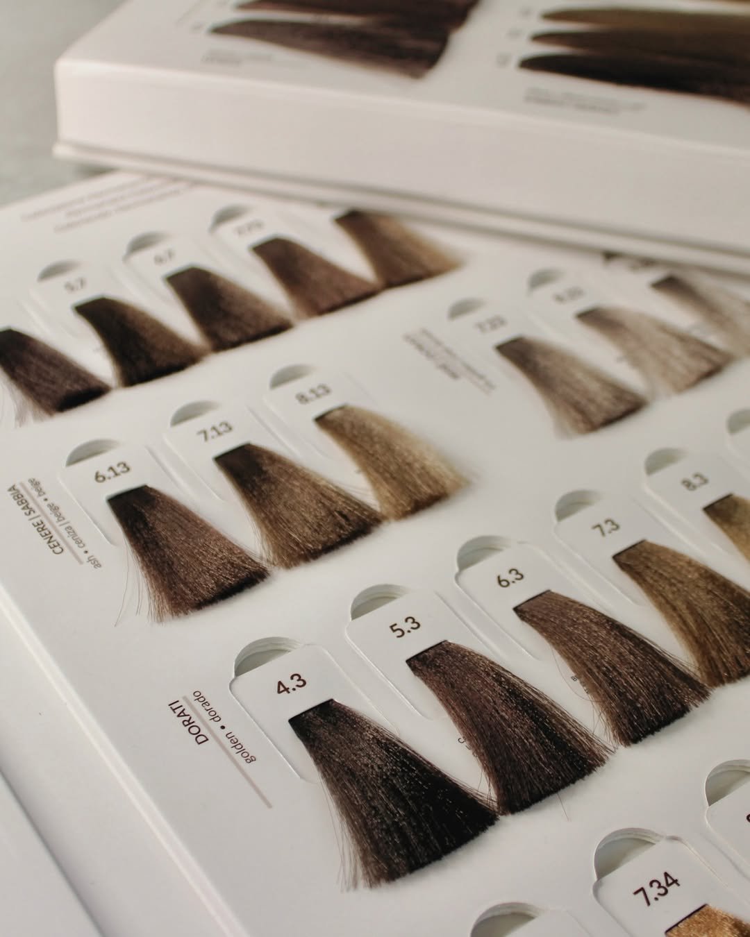 491439649_18278860390268344_7041278417212392187_n https://triskell-distribution.fr/wp-content/uploads/2026/01/491439649_18278860390268344_7041278417212392187_n.jpg