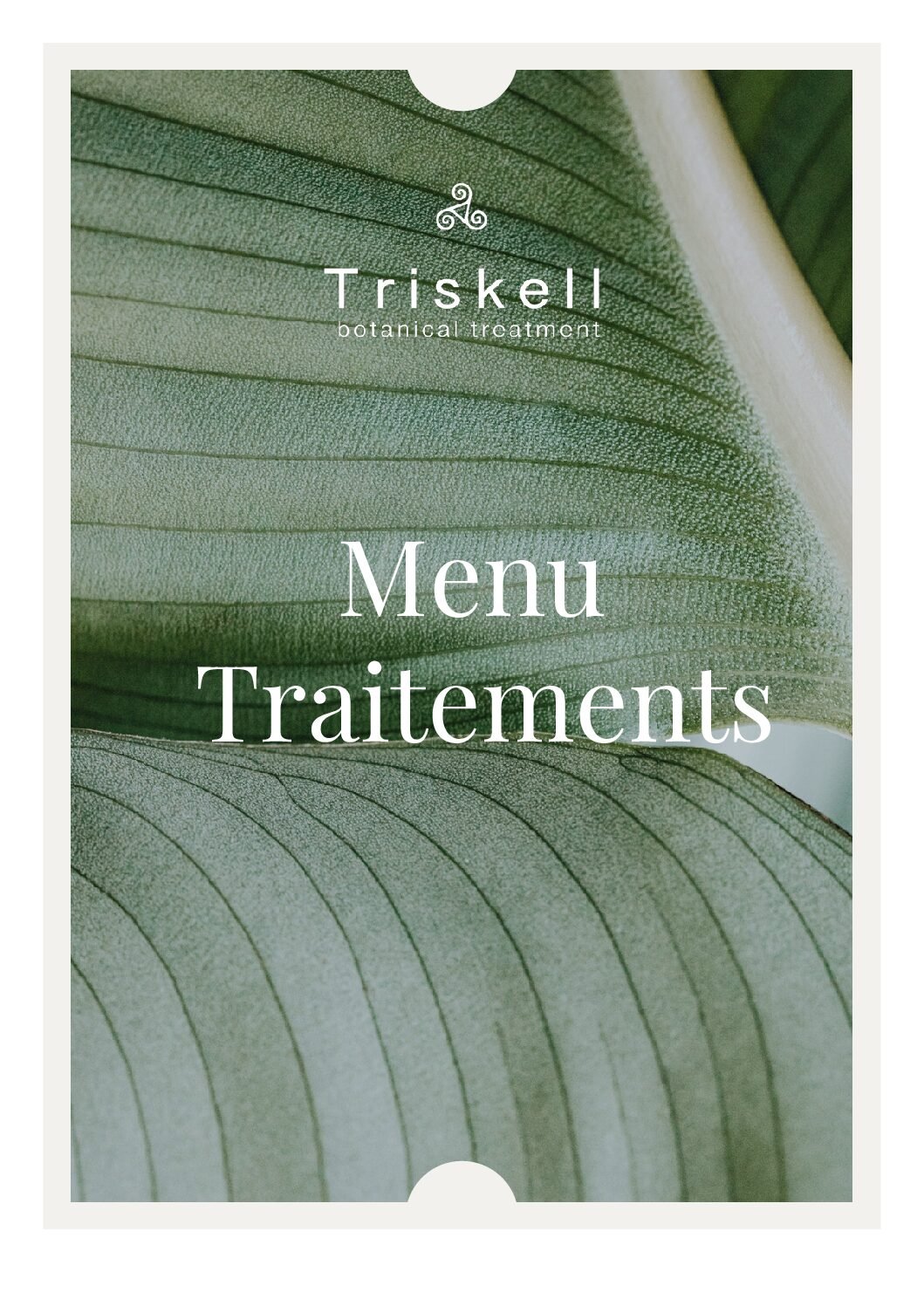https://triskell-distribution.fr/wp-content/uploads/2026/03/Menu-VF-2-1-pdf.jpg